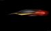 Nissan Resonance Concept 2013 Widescreen Picture #6