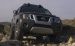 Nissan Xterra 2010 Widescreen Picture #28