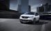 Peugeot 2008 2017 Widescreen Picture #15