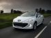 Peugeot 2009 308 CC Picture #30