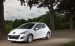 Peugeot 207 Economique Widescreen Picture #6