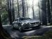Peugeot Exalt Concept 2014 Picture #40