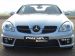 Piecha 2009 Design Mercedes Benz SLK Picture #7