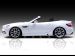 Piecha Mercedes Benz SLK R172 Accurian RS 2011 Picture #9