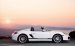Porsche 2010 Boxster Spyder Widescreen Picture #8