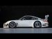 Porsche 911 GT3 R Picture #2