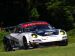 Porsche 911 GT3 RSR Flying Lizard Picture #11