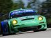 Porsche 911 GT3 RSR Flying Lizard Picture #25