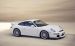 Porsche 911 GT3 Widescreen Picture #25