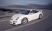 Porsche 911 GT3 Widescreen Picture #4