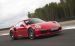 Porsche 911 Turbo S 2014 Widescreen Picture #9