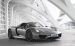 Porsche 918 Spyder 2015 Widescreen Picture #52