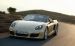 Porsche Boxster S 2013 Widescreen Picture #7