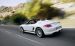 Porsche Boxster Spyder 2011 Widescreen Picture #18