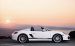 Porsche Boxster Spyder 2011 Widescreen Picture #11