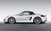 Porsche Boxster Spyder 2016 Widescreen Picture #21