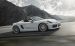 Porsche Boxster Spyder 2016 Widescreen Picture #11