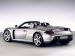 Porsche Carrera GT Picture #27