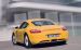 Porsche Cayman 2008 Widescreen Picture #2