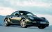Porsche Cayman 2010 Widescreen Picture #5