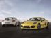 Porsche Cayman 2014 Picture #8