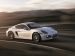 Porsche Cayman 2014 Picture #11
