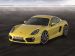 Porsche Cayman 2014 Picture #14