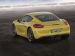 Porsche Cayman 2014 Picture #3