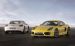 Porsche Cayman 2014 Widescreen Picture #12