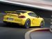 Porsche Cayman GT4 2015 Picture #20
