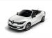 Renault Coupe Cabriolet 2014 Picture #14