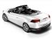 Renault Megane Coupe Cabriolet 2011 Picture #20