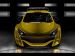 Renault Megane Trophy Picture #2