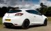 Renault New Megane Sport 250 Widescreen Picture #7
