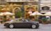 Rolls Royce Phantom Coupe Widescreen Picture #1