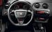Seat 2010 Ibiza Bocanegra Widescreen Picture #5