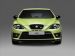 Seat 2010 Leon Cupra R Picture #4