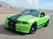 Shelby GT350 2013 Picture #3