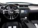 Shelby GT500 2010 Picture #1