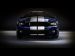 Shelby GT500 2010 Picture #14