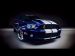 Shelby GT500 2010 Picture #21