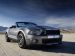 Shelby GT500 Convertible Picture #12