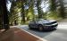 Shelby GT500 Convertible Widescreen Picture #13