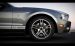 Shelby GT500 Convertible Widescreen Picture #10