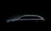 Skoda 2010 Superb Estate Widescreen Picture #1