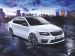 Skoda Octavia Rs 230 2016 Picture #49