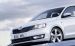 Skoda Rapid 2013 Widescreen Picture #16