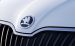 Skoda Rapid 2013 Widescreen Picture #32
