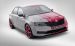 Skoda Rapid Sport Concept Widescreen Picture #10