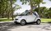 Smart 2010 fortwo cdi Widescreen Picture #2
